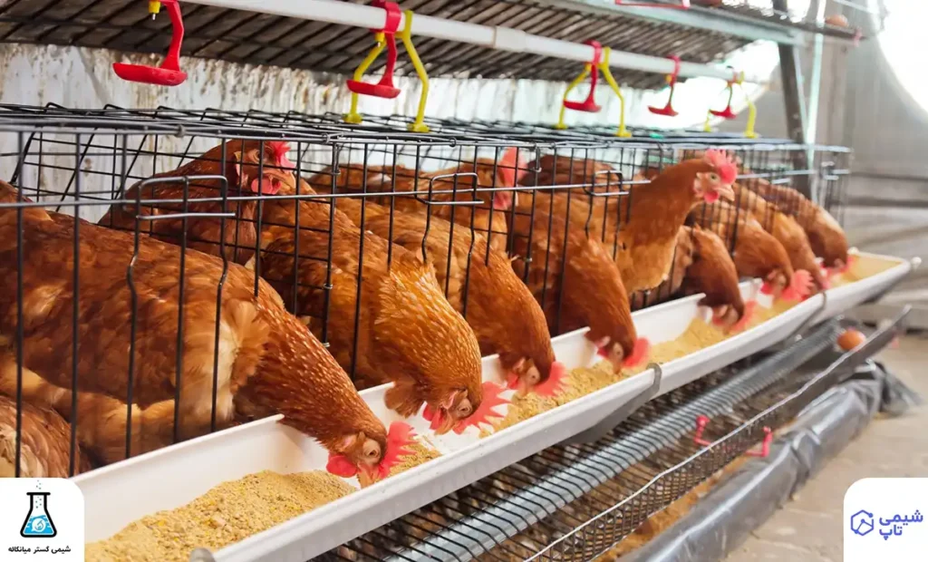 خرید اسید چرب مرغداری