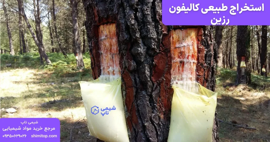 کالیفون طبیعی