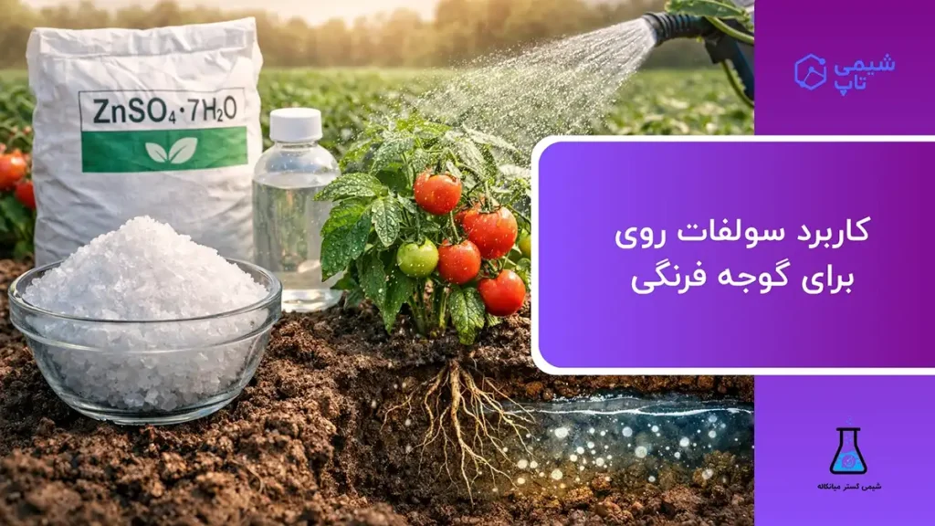 کاربرد سولفات روی برای گوجه فرنگی