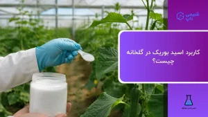 کاربرد اسید بوریک در گلخانه چیست؟ راهنمای مصرف در گلخانه