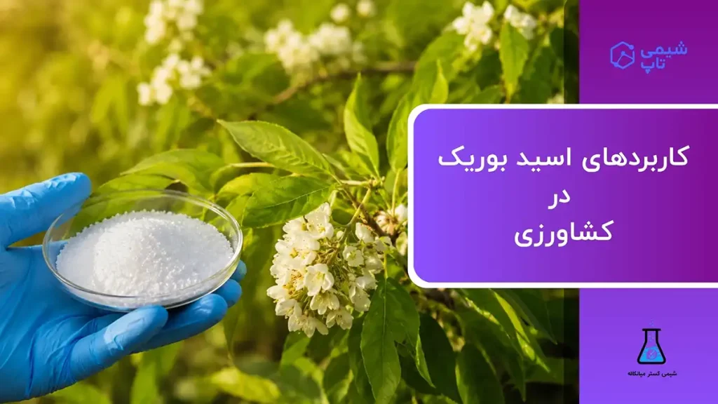 کاربردهای اسید بوریک در کشاورزی | روش و زمان مصرف⭐ شیمی تاپ